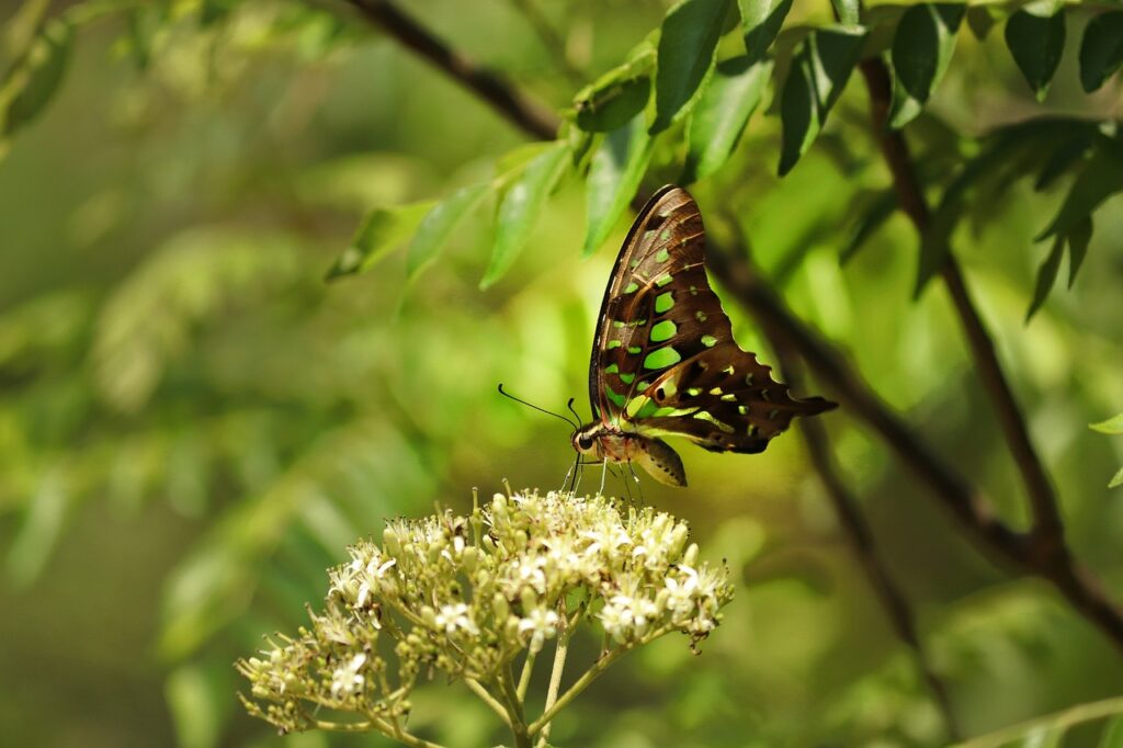 英文メールの書き方に役立つコツは？