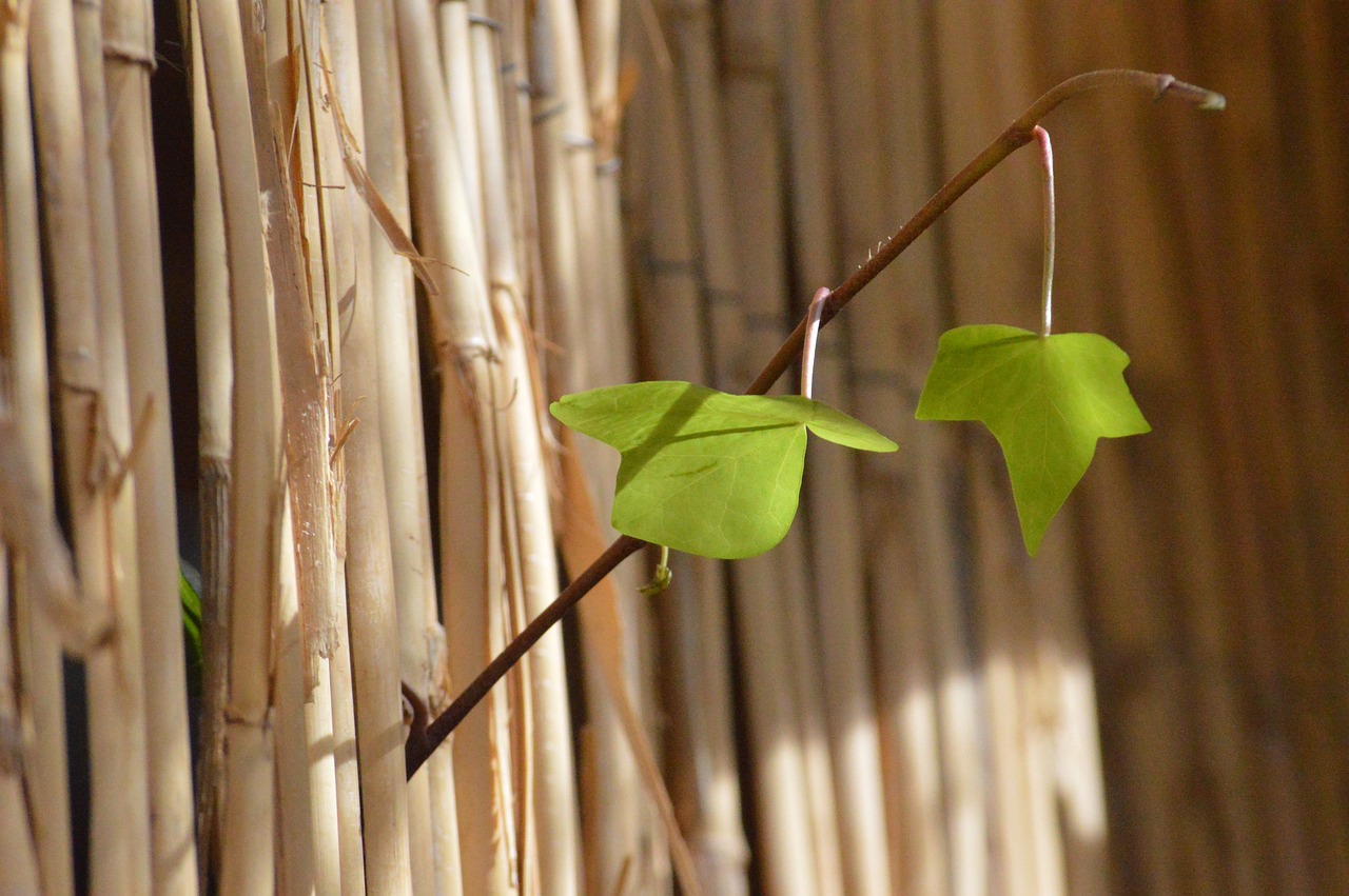 男が稼ぐ力を小さな成功体験で積み上げる方法は？