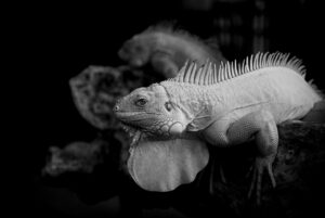 リスキリングとは2026年に向けて必要なスキルアップの方法は？