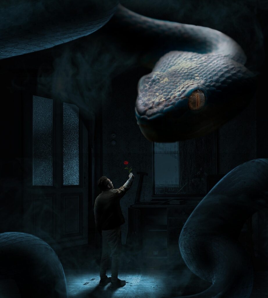 クリエイティブソフトを効果的に習得する方法は？