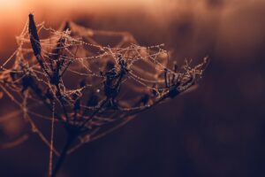 Webサイト制作の始め方を初心者が知っておくべきポイントは？