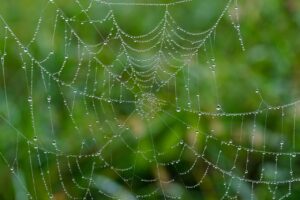 Webマーケティングに最適な無料講座おすすめは？