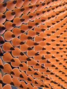 再現性高い稼ぐスキルを身につけるための方法は？